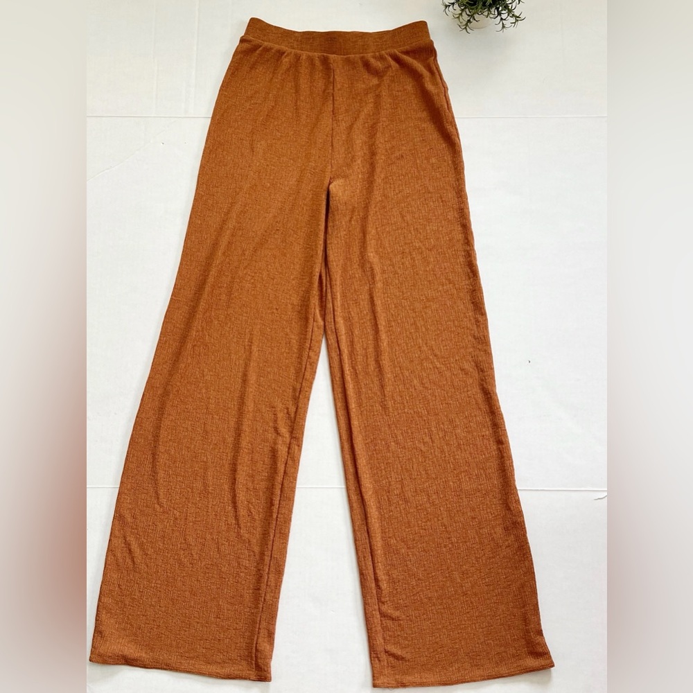 Zara Wide Leg Textured Weave Elastic Waist Pants in Rust Burnt Orange